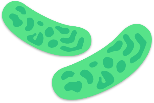 SVG Icon